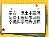 泰安一级土木建筑造价工程师考试哪个机构学习靠谱呢