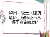 泸州一级土木建筑造价工程师证书从哪里查询真伪？