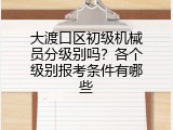 大渡口区初级机械员分级别吗？各个级别报考条件有哪些