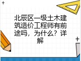 北辰区一级土木建筑造价工程师有前途吗，为什么？详解