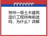 贺州一级土木建筑造价工程师有前途吗，为什么？详解