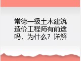 常德一级土木建筑造价工程师有前途吗，为什么？详解