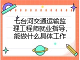 七台河交通运输监理工程师就业指导，能做什么具体工作