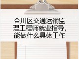 合川区交通运输监理工程师就业指导，能做什么具体工作