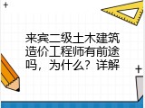 来宾二级土木建筑造价工程师有前途吗，为什么？详解