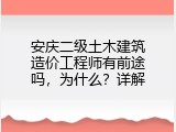 安庆二级土木建筑造价工程师有前途吗，为什么？详解