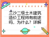 三沙二级土木建筑造价工程师有前途吗，为什么？详解
