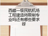 西藏一级民航机场工程建造师限制专业吗还有哪些要求呀