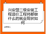 兴安盟二级安装工程造价工程师都做什么的就业现状如何