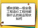 锡林郭勒一级安装工程造价工程师都做什么的就业现状如何