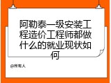 阿勒泰一级安装工程造价工程师都做什么的就业现状如何