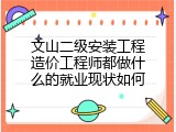 文山二级安装工程造价工程师都做什么的就业现状如何