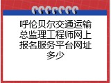 呼伦贝尔交通运输总监理工程师网上报名服务平台网址多少