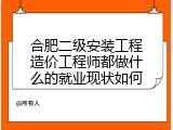 合肥二级安装工程造价工程师都做什么的就业现状如何