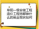 阜阳一级安装工程造价工程师都做什么的就业现状如何
