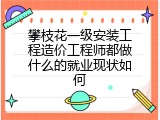 攀枝花一级安装工程造价工程师都做什么的就业现状如何