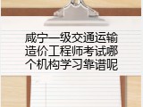 咸宁一级交通运输造价工程师考试哪个机构学习靠谱呢