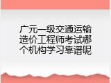 广元一级交通运输造价工程师考试哪个机构学习靠谱呢