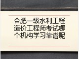 合肥一级水利工程造价工程师考试哪个机构学习靠谱呢