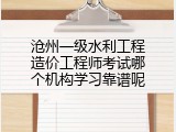 沧州一级水利工程造价工程师考试哪个机构学习靠谱呢