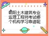 朝阳土木建筑专业监理工程师考试哪个机构学习靠谱呢