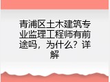 青浦区土木建筑专业监理工程师有前途吗，为什么？详解