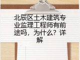 北辰区土木建筑专业监理工程师有前途吗，为什么？详解