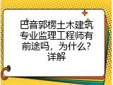 巴音郭楞土木建筑专业监理工程师有前途吗，为什么？详解