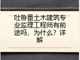 吐鲁番土木建筑专业监理工程师有前途吗，为什么？详解
