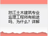 怒江土木建筑专业监理工程师有前途吗，为什么？详解