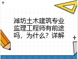 潍坊土木建筑专业监理工程师有前途吗，为什么？详解