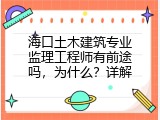 海口土木建筑专业监理工程师有前途吗，为什么？详解