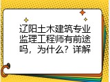 辽阳土木建筑专业监理工程师有前途吗，为什么？详解