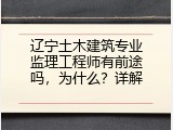 辽宁土木建筑专业监理工程师有前途吗，为什么？详解