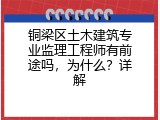 铜梁区土木建筑专业监理工程师有前途吗，为什么？详解
