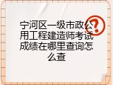 宁河区一级市政公用工程建造师考试成绩在哪里查询怎么查