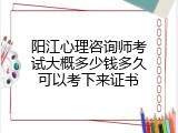 阳江心理咨询师考试大概多少钱多久可以考下来证书