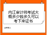 内江审计师考试大概多少钱多久可以考下来证书