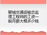聊城交通运输总监理工程师的工资一般月薪大概多少钱