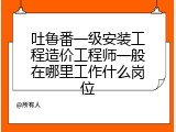 吐鲁番一级安装工程造价工程师一般在哪里工作什么岗位