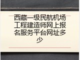 西藏一级民航机场工程建造师网上报名服务平台网址多少