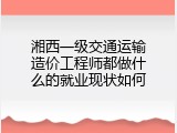 湘西一级交通运输造价工程师都做什么的就业现状如何