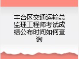丰台区交通运输总监理工程师考试成绩公布时间如何查询