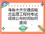 乌鲁木齐交通运输总监理工程师考试成绩公布时间如何查询