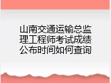 山南交通运输总监理工程师考试成绩公布时间如何查询
