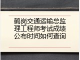 鹤岗交通运输总监理工程师考试成绩公布时间如何查询