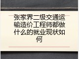 张家界二级交通运输造价工程师都做什么的就业现状如何