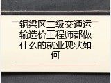铜梁区二级交通运输造价工程师都做什么的就业现状如何