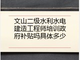 文山二级水利水电建造工程师培训政府补贴吗具体多少