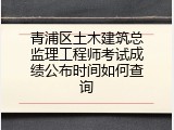 青浦区土木建筑总监理工程师考试成绩公布时间如何查询